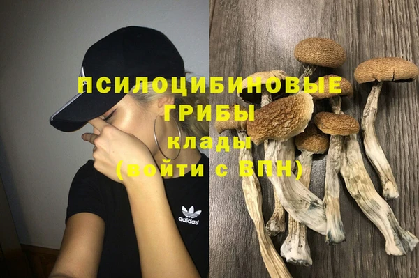 молекула духа Вяземский