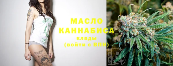 гашик Дмитриев