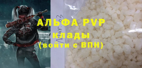PSILOCYBIN Беломорск