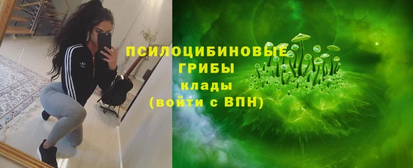марки nbome Белокуриха