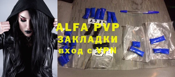 индика Баксан