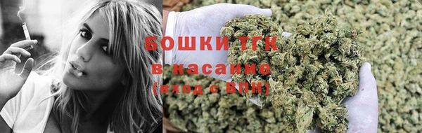 PSILOCYBIN Беломорск