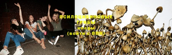 индика Баксан
