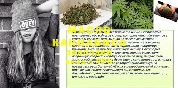 индика Баксан