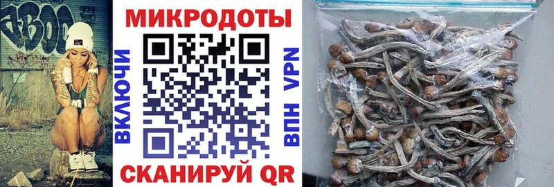 omg как зайти  shop формула  Можга  Галлюциногенные грибы Magic Shrooms  цена  