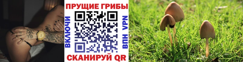 Галлюциногенные грибы Psilocybine cubensis Можга